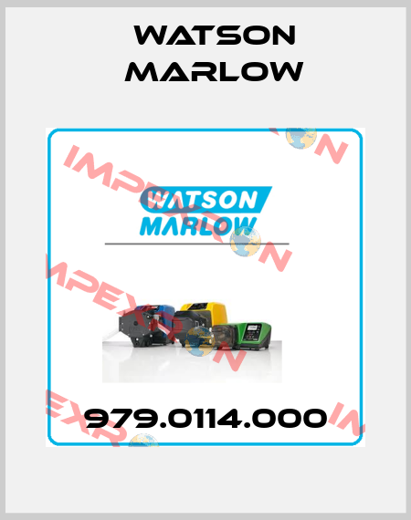 979.0114.000 Watson Marlow