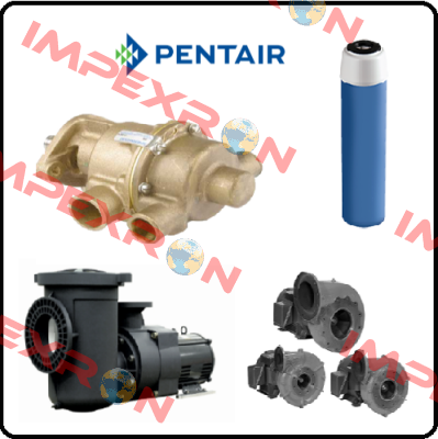 80H100/120 A/R for pos3 Pentek (Pentair)