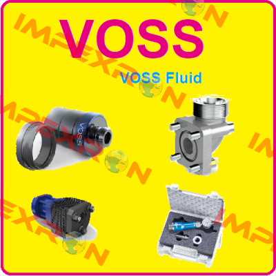 0172912007 Voss