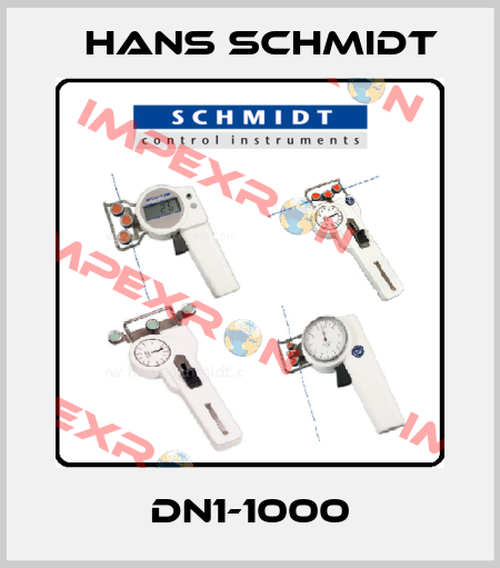 DN1-1000 Hans Schmidt