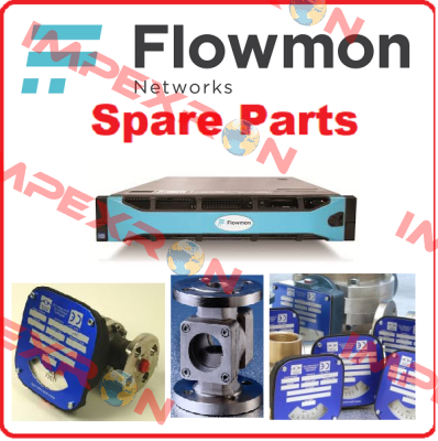 FMG-600-CI-LP-ME-15CS-32F300-S3-D1- Z86 Flow-Mon