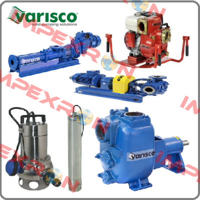 10009060 Varisco pumps