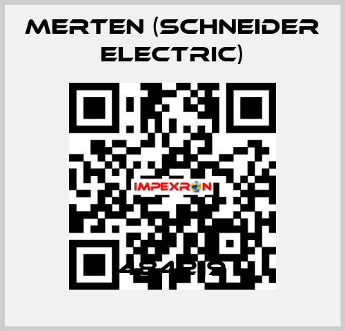 484219 Merten (Schneider Electric)