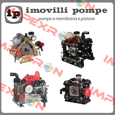 46033 Imovilli pompe