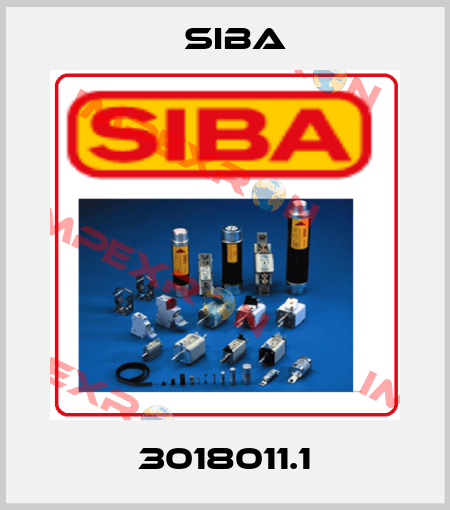 3018011.1 Siba
