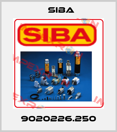 9020226.250 Siba
