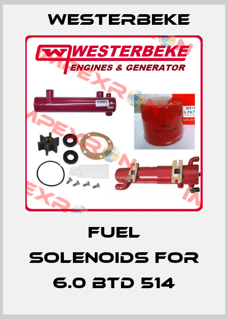 Fuel Solenoids for 6.0 BTD 514 Westerbeke