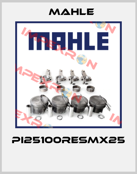 PI25100RESMX25  MAHLE