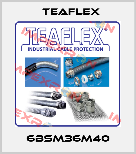 6BSM36M40 Teaflex