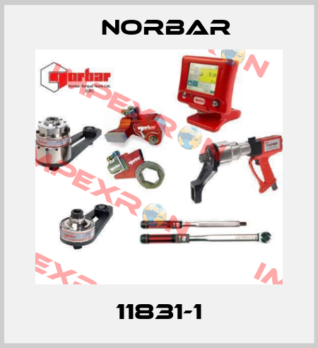 11831-1 Norbar