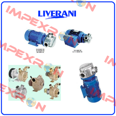 SPEED CONTROLLER FOR HBL30/2 A  Liverani