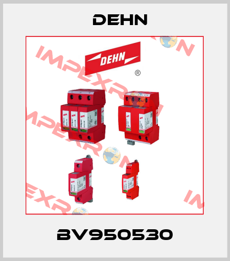 BV950530 Dehn
