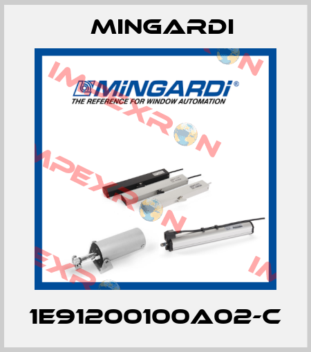 1E91200100A02-C Mingardi