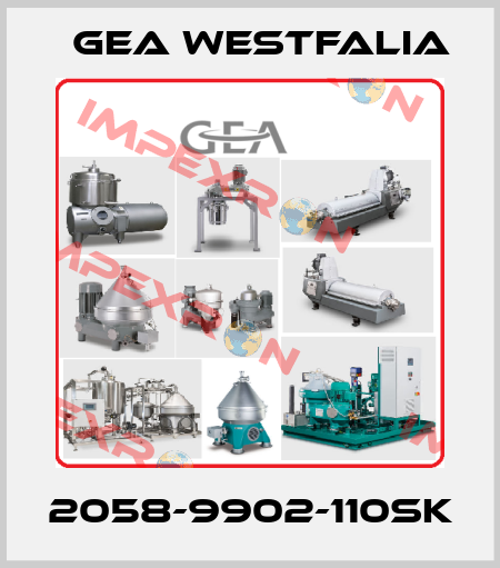 2058-9902-110SK Gea Westfalia
