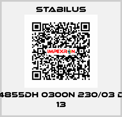 4855DH 0300N 230/03 D 13 Stabilus
