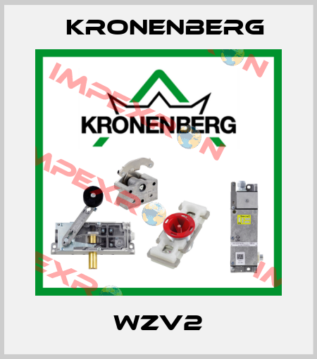 WZV2 Kronenberg