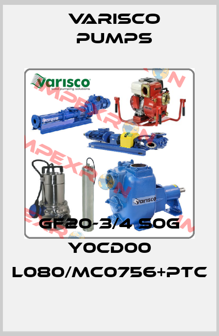 GF20-3/4 S0G Y0CD00 L080/MC0756+PTC Varisco pumps