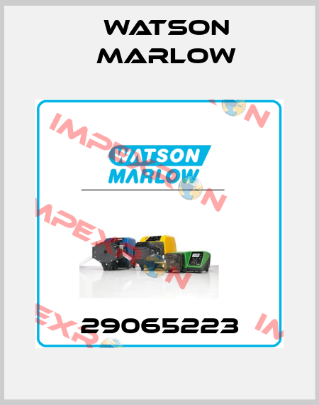 29065223 Watson Marlow