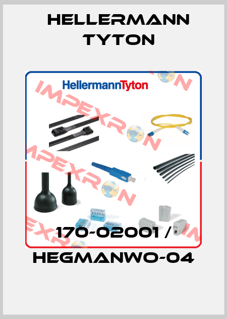 170-02001 / HEGMANWO-04 Hellermann Tyton