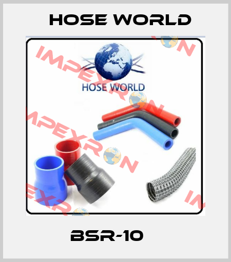 BSR-10    HOSE WORLD