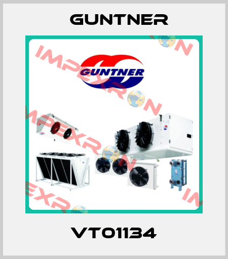 VT01134 Guntner