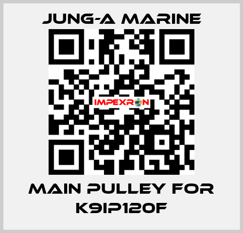 main pulley for K9IP120F JUNG-A MARINE