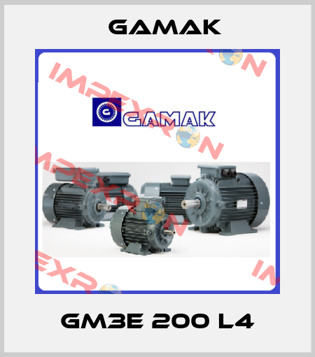 GM3E 200 L4 Gamak