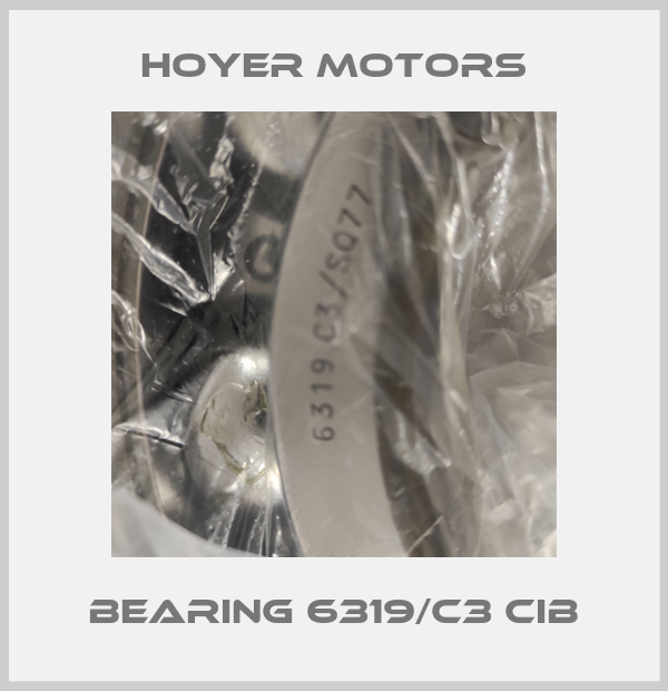 BEARING 6319/C3 CIB Hoyer Motors