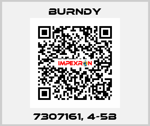7307161, 4-5B Burndy