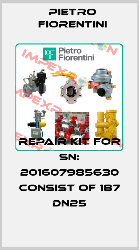 repair kit for SN: 201607985630 consist of 187 DN25 Pietro Fiorentini