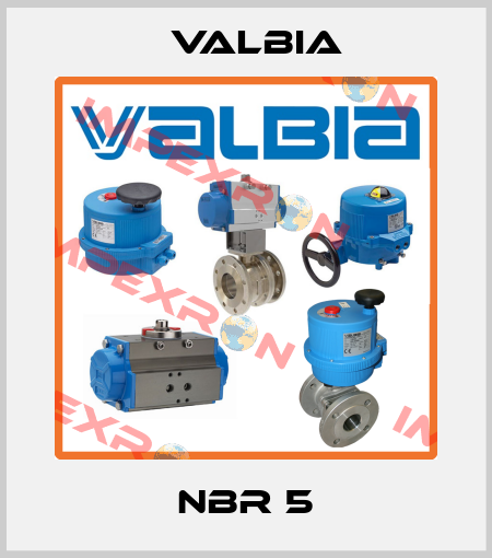 NBR 5 Valbia
