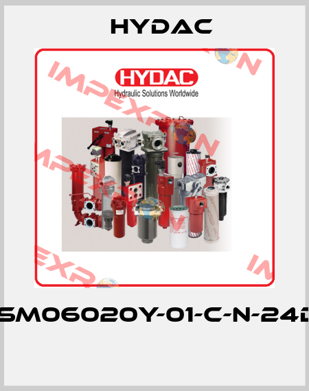WSM06020Y-01-C-N-24DG  Hydac