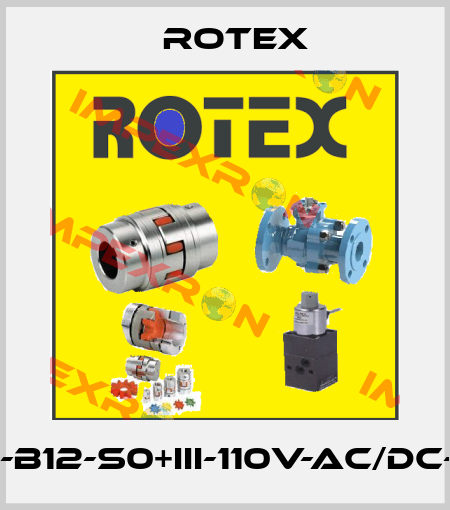 24101-12-4R-B12-S0+III-110V-AC/DC-37-FR-H-03 Rotex