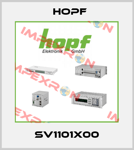 SV1101X00 Hopf