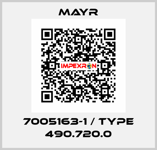 7005163-1 / Type 490.720.0 Mayr