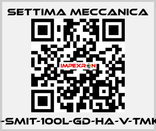 GR40-SMIT-100L-GD-HA-V-TMK-CSM Settima Meccanica