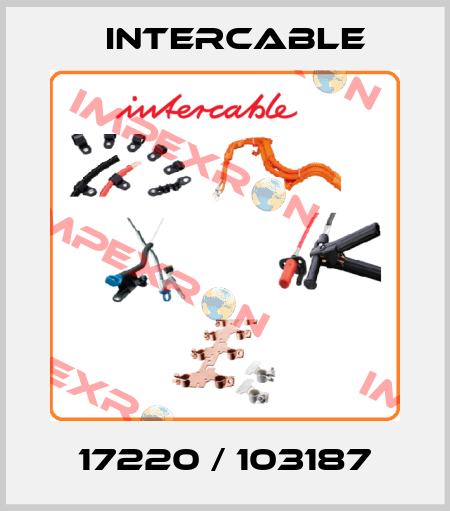17220 / 103187 Intercable