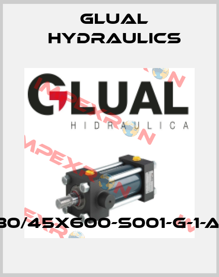 KR-80/45X600-S001-G-1-A-1-10 Glual Hydraulics