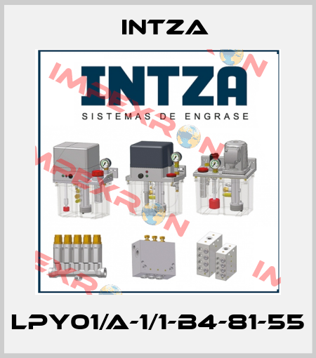 LPY01/A-1/1-B4-81-55 Intza