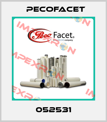 052531 PECOFacet