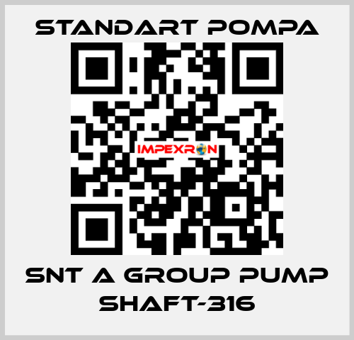 SNT A GROUP PUMP SHAFT-316 STANDART POMPA