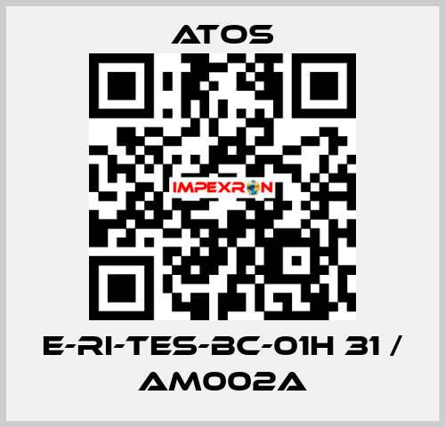 E-RI-TES-BC-01H 31 / AM002A Atos