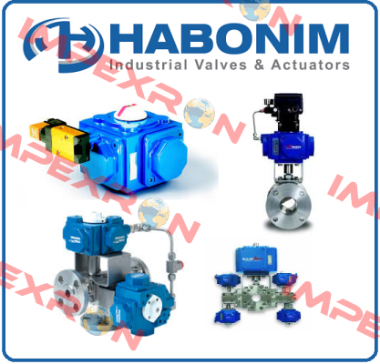 Repair-Kit for COMPACT Actuator C30 SR-2C LT, Habonim