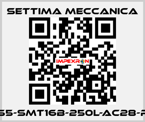 GR55-SMT16B-250L-AC28-RF2 Settima Meccanica