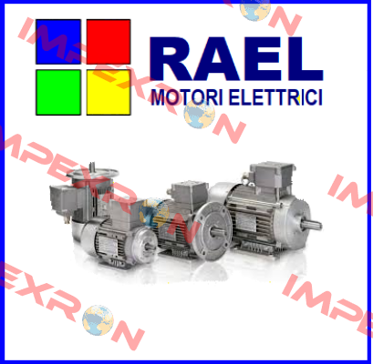 M WM077320-0001 RAEL MOTORI ELETTRICI