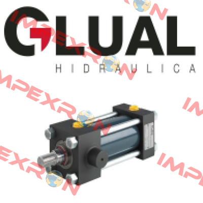 KI-80/56X125-H303-G-1-AD-F-1-30 Glual Hydraulics