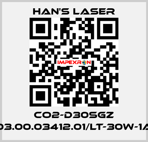 CO2-D30SGZ 03.00.03412.01/LT-30W-1A Han's Laser