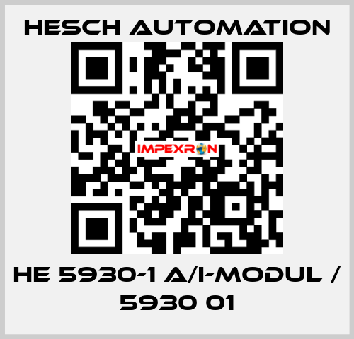 HE 5930-1 A/I-Modul / 5930 01 Hesch Automation