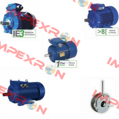 Overhaul kit for 2SIEK 132 S4 Cantoni