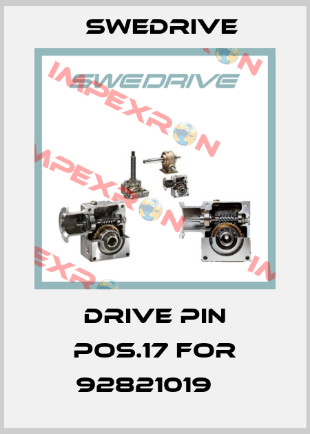Drive pin pos.17 for 92821019    Swedrive